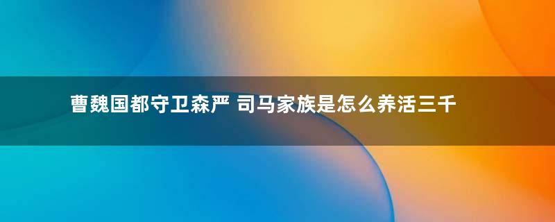 曹魏国都守卫森严 司马家族是怎么养活三千死士的